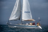indigo 2620c whyw25 750_4982